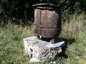 Bijenkorf, foto 1