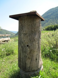 Bijenkorf, foto 20