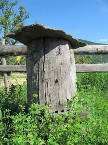 Bijenkorf, foto 21