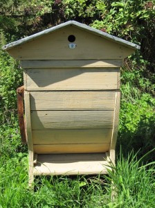 Bijenkorf, foto 22