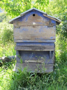 Bijenkorf, foto 24